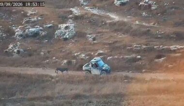 Sanctioned by EU, Israeli settler steals and kills Palestinian donkey | Palestinian Authority