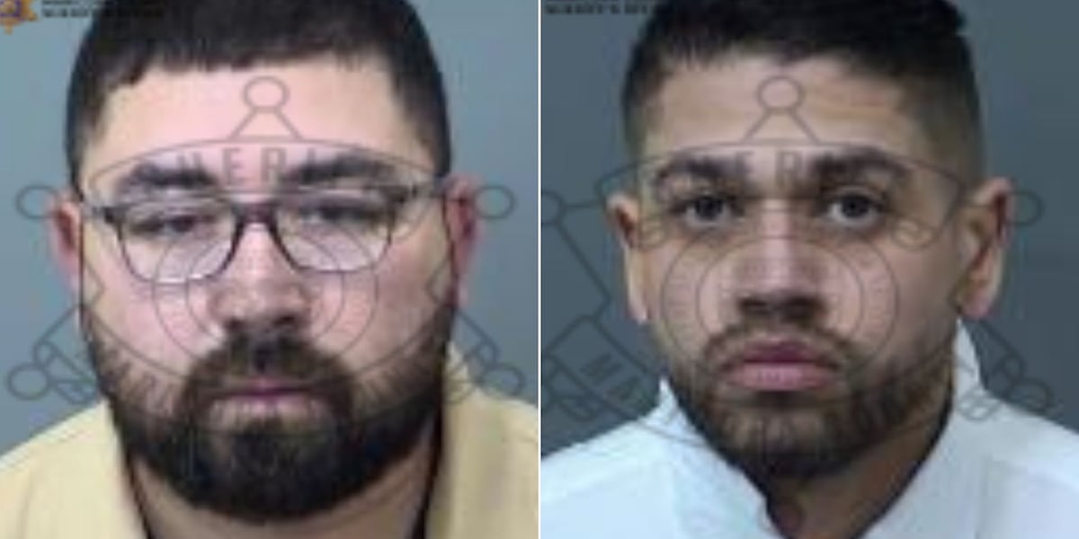 Former Phoenix officers admit involvement in violent traffic stop, court docs say