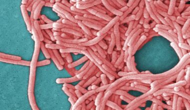 TTC cooling tower is source of legionnaires' disease outbreak: Toronto Public Health