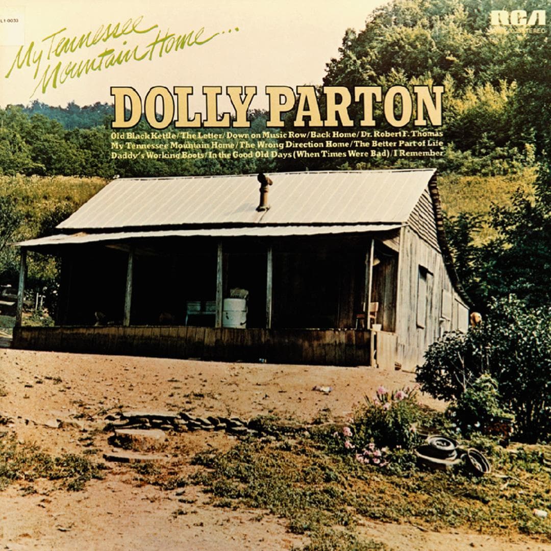My Tennessee Mountain Home Cover Art