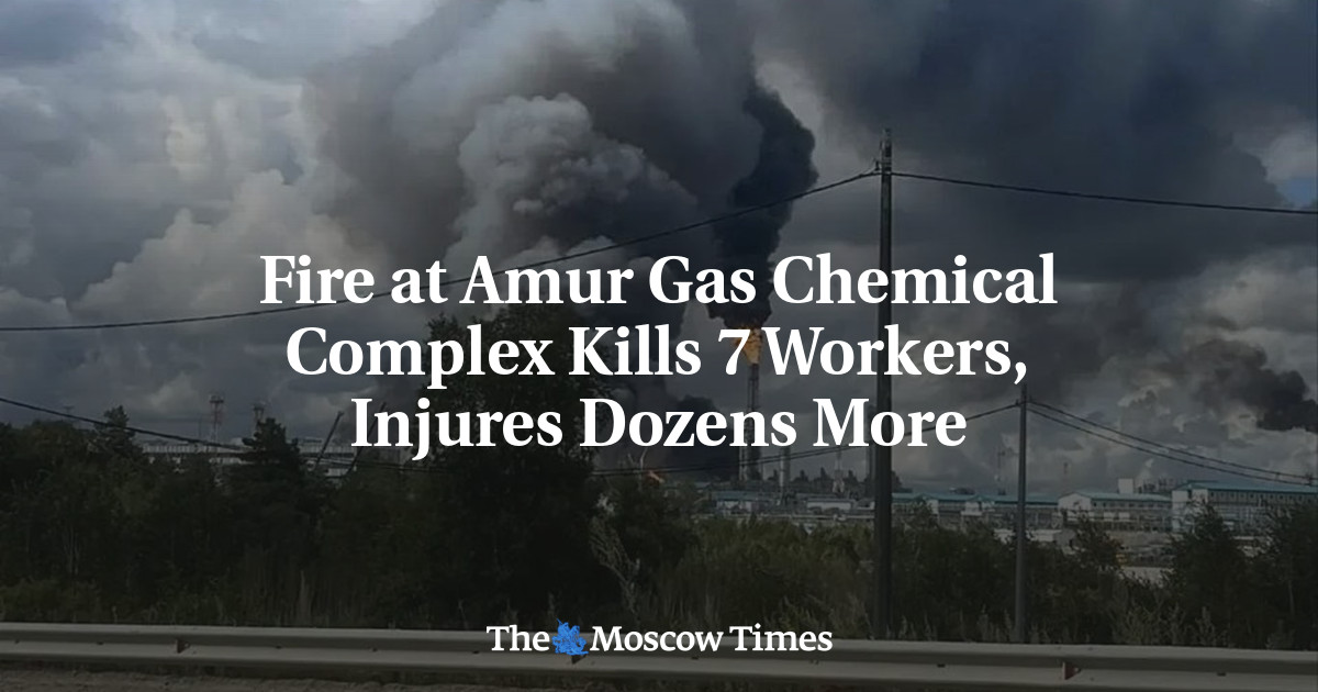 Fire at Amur Gas Chemical Complex Kills 7 Workers, Injures Dozens More