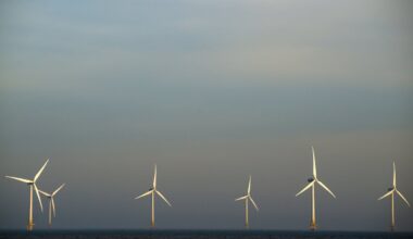 $900M paid out by Trump to end wind farm project is going to firm run by a Mar-a-Lago neighbor: report