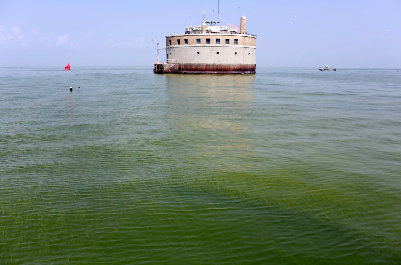In this 2014, file photo the water intake crib for the city of Toledo, Ohio, is surrounded by an algae bloom on Lake Erie. The Great Lakes Restoration Initiative program has funded work in Ohio to slow down Lake Erie's toxic algae.