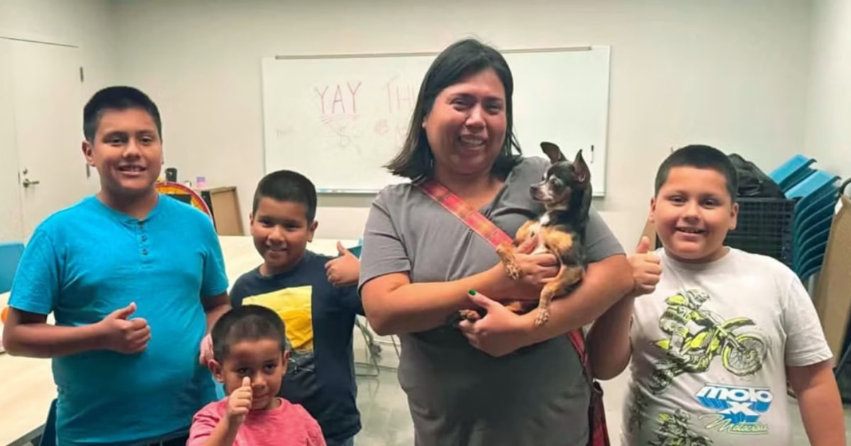 Dog missing for 12 years reunited with Chicago family