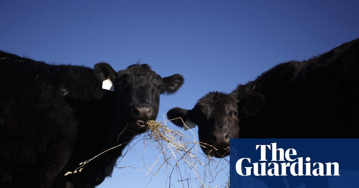 Trump pledges to allow cattle ranchers to process own food amid beef imports backlash | Donald Trump