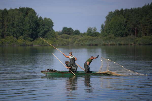 Fishermen throw nets during a fish haul of the Kanov pond near the town of Trebon, Czech Republic, Wednesday, Aug. 26, 2026. (AP Photo/Petr David Josek)