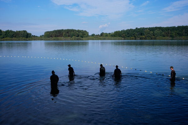 Fishermen take part in a fish haul of the Kanov pond near the town of Trebon, Czech Republic, Wednesday, Aug. 26, 2026. (AP Photo/Petr David Josek)