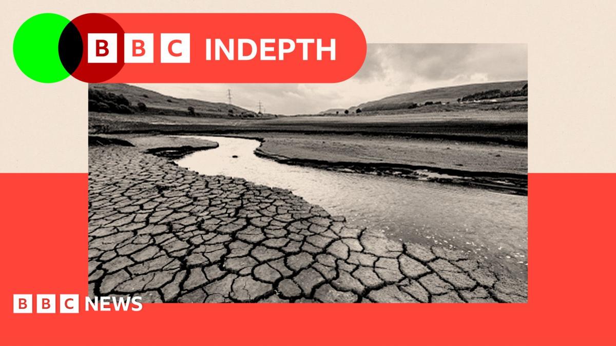 BBC InDepth
