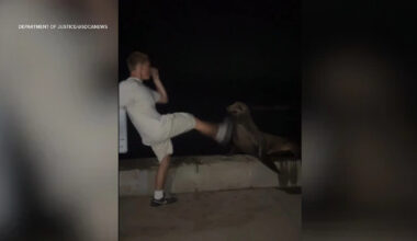 San Diego 18-year-old Tyler Muehl pleads guilty to kicking protected sea lion in attack caught on video