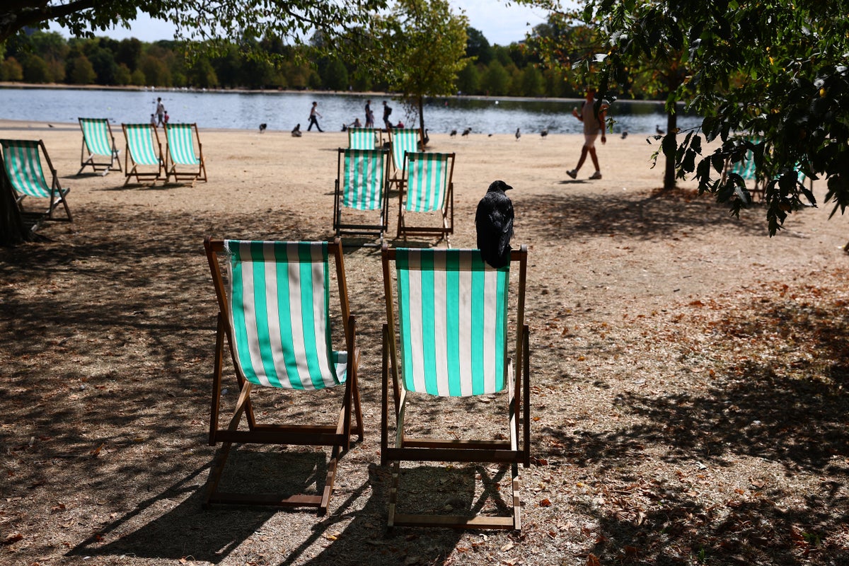 UK weather latest: Summer set to be the hottest since records began, say Met Office