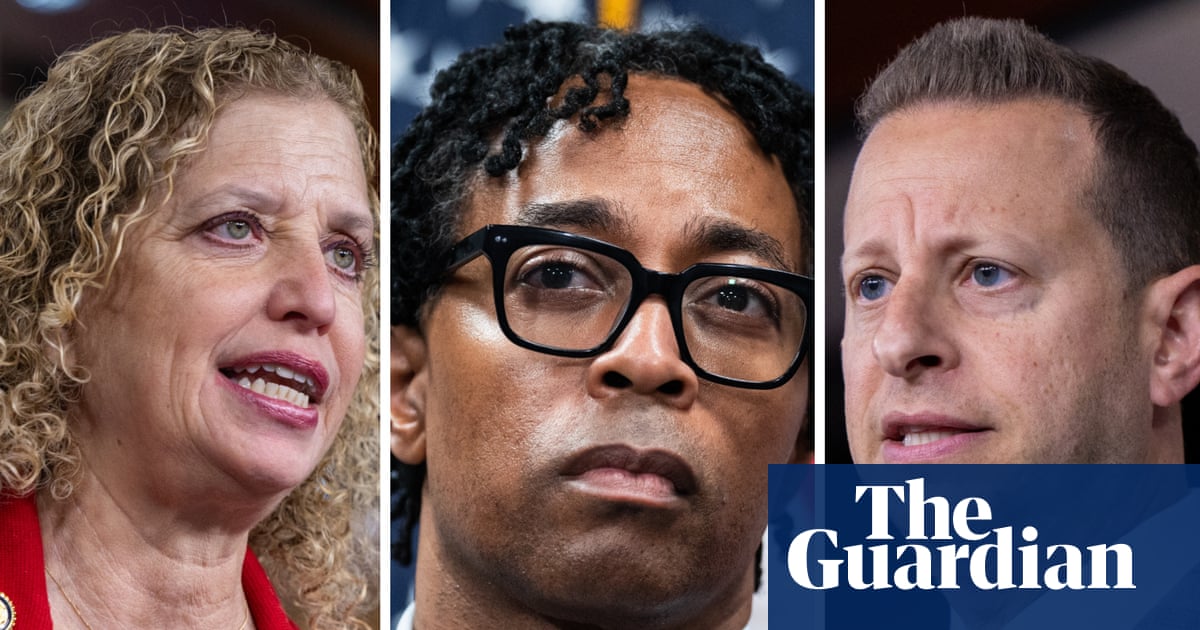Three pro-Israel Democrats given key roles on House foreign affairs panel | House of Representatives