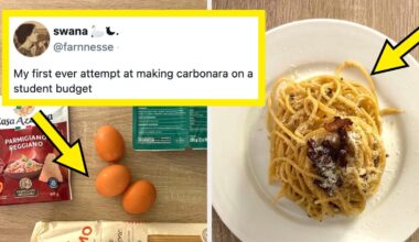 The World Is Awful, So Enjoy The 20 Most Wholesome Tweets I Found On The Internet This Week - BuzzFeed