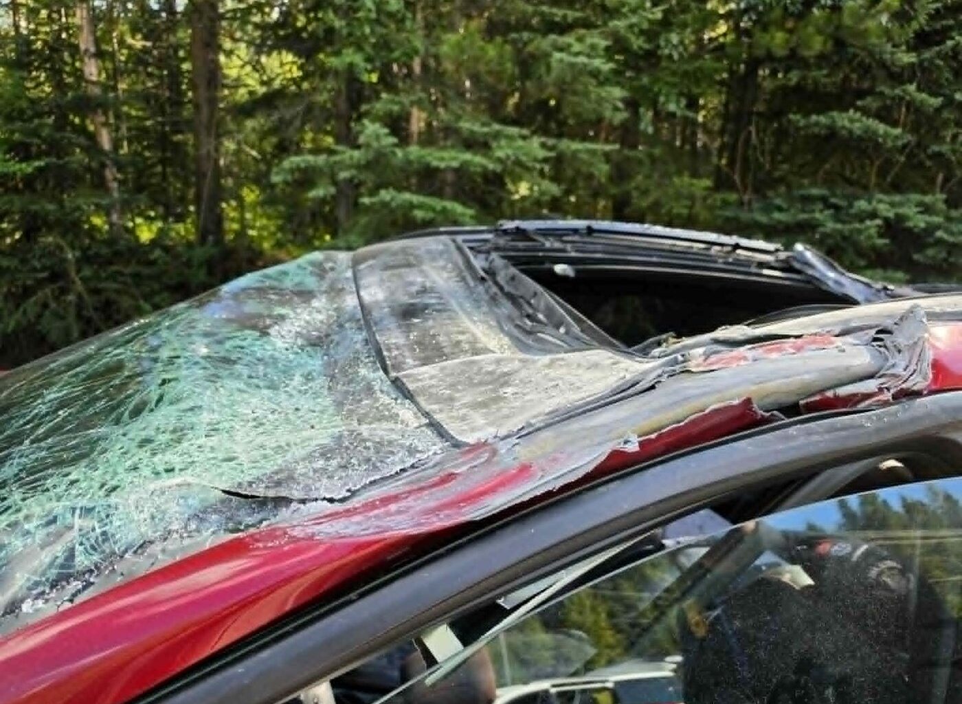 Driver in crash with plane on Prince George road says he 'shouldn't be here'