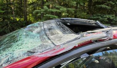 Driver in crash with plane on Prince George road says he 'shouldn't be here'