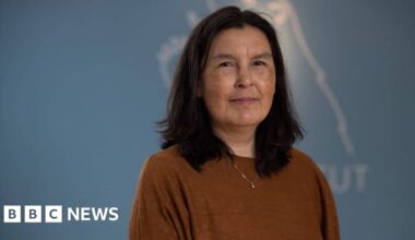 Greenland says findings on forced contraception genocide allegation not final - BBC