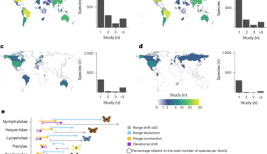Extensive climate-induced range shifts in butterflies across the globe