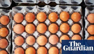 Salmonella cases in UK likely to rise until source of outbreak is found | Eggs