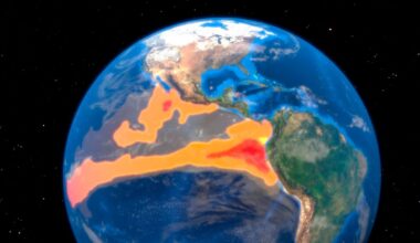 What Is El Niño, and What Does It Mean for Weather, Water, and the Global Economy?