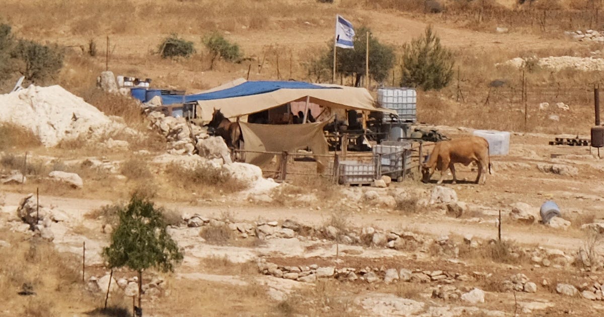 They Fought Back Against Violent Settlers. Now They're Branded as Terrorists - haaretz.com
