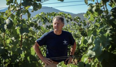 U.S. tariffs push Canadian alcohol producers to rethink their biggest export market