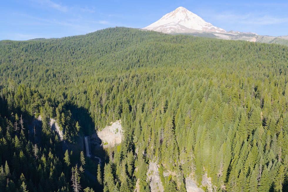 The rugged Mt. Hood is surrounded by national forest and spans all the way to the Columbia...