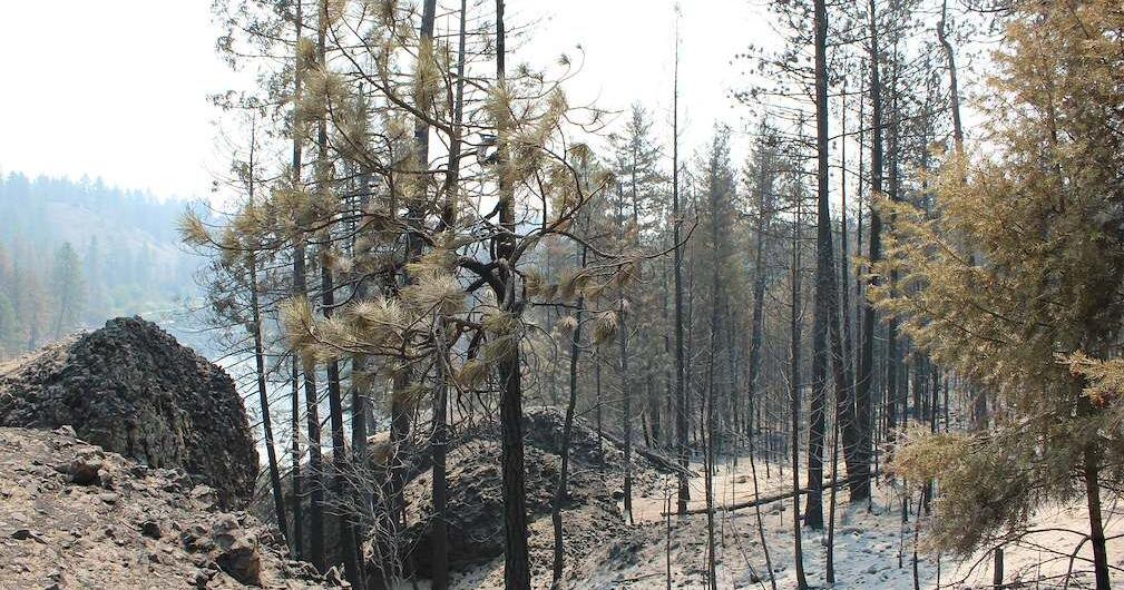 Firefighters increase containment on Spokane area fires | News