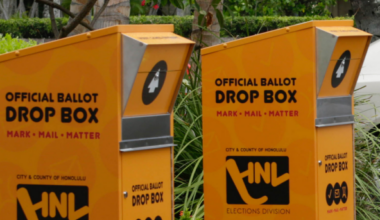 Hawaii 2026 Primary Election Results Are In | Politics