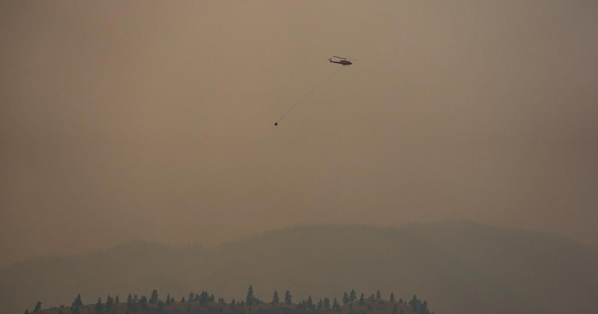 B.C. fire evacuees find social media comfort amid official void about destruction - thecanadianpressnews.ca