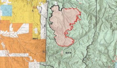 Frijoles Fire holds mostly steady; fire officials say trespassers tried to enter camp - Santa Fe New Mexican
