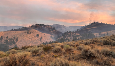 Hawk Fire now 93% contained, road closures lifted | Fire Watch