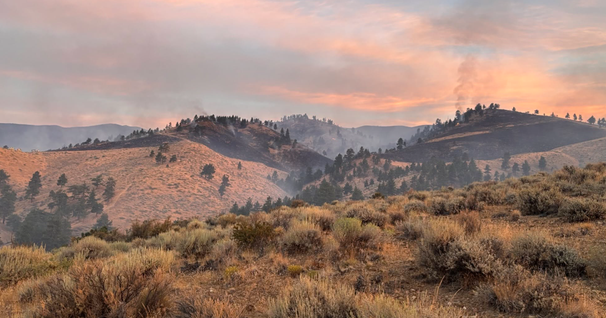 Hawk Fire now 93% contained, road closures lifted | Fire Watch