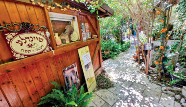 The Jerusalem Post - Israel News