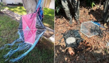 Israel accused of using kites as pretext to justify escalating Gaza attacks | Politics News