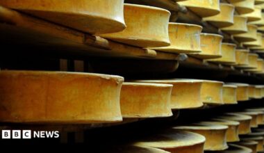 Beaufort cheese wheels stored in a cellar in eastern France. Archive photo