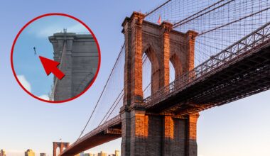 Naked Man Jumps Off the Top of NYC's Brooklyn Bridge and Survives, Video Shows