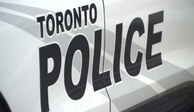 Man wanted in restaurant washroom sex assault in Parkdale turns himself in to police - ctvnews.ca