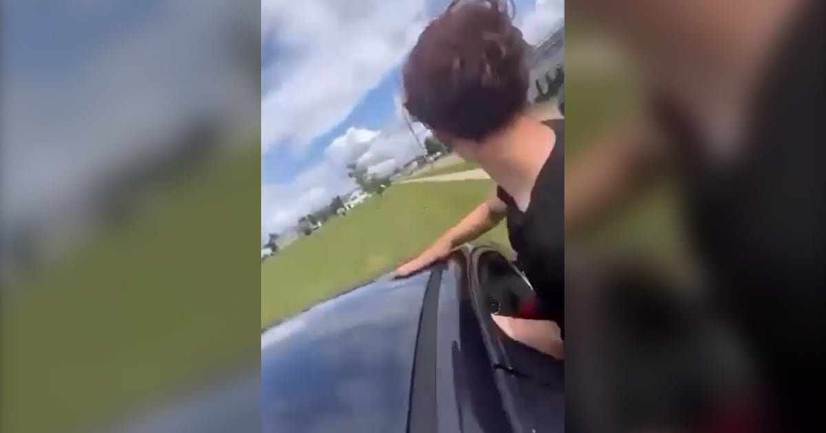 ‘That’s insane’: New videos of apparent joyriding Moncton teens circulate online - CTV News