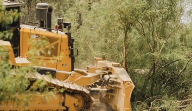 Bulldozers rip into Big Bend U.S. National Park, driving anger and heartbreak - CTV News