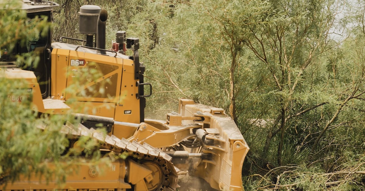 Bulldozers rip into Big Bend U.S. National Park, driving anger and heartbreak - CTV News