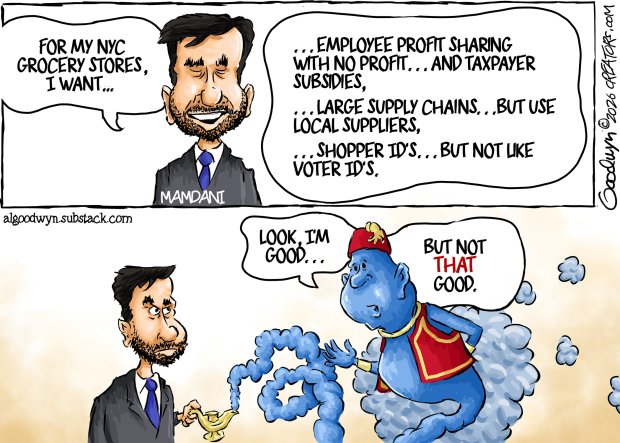 Editorial cartoon by Al Goodwyn (Creators Syndicate)