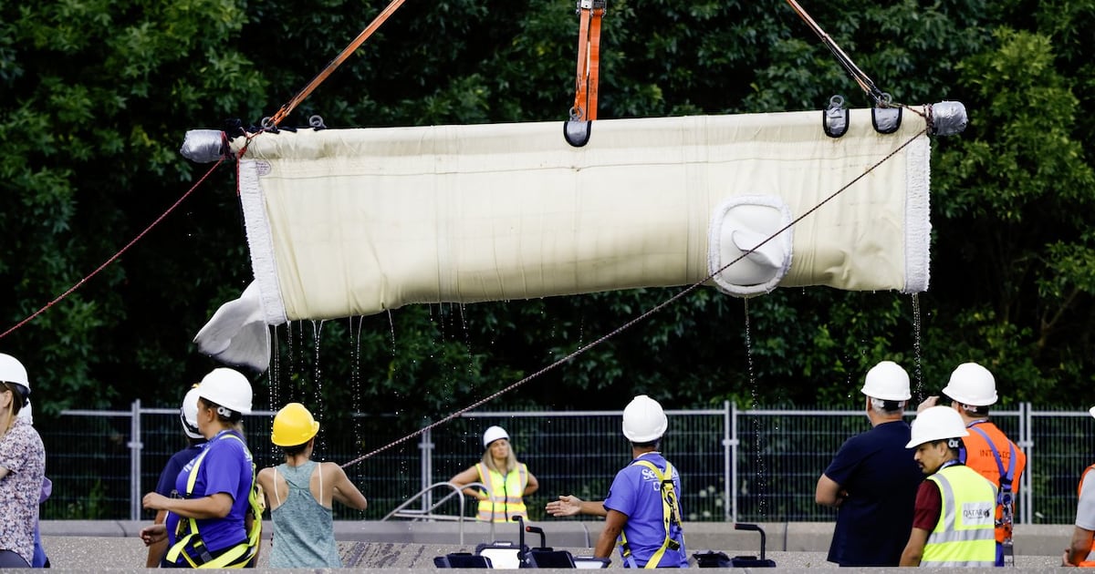 Marineland: 7 more belugas move to U.S. aquarium