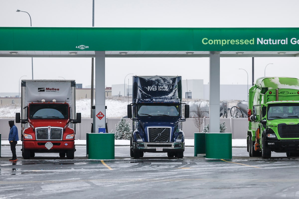 Alberta shuts down trucking company linked to fatal collision in Manitoba