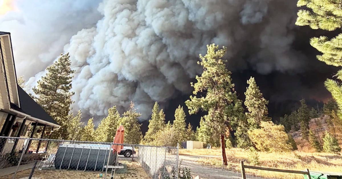 Canada wildfires: B.C. business face significant damage - CTV News