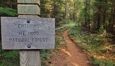 Trump administration moves ahead to end roadless rule on national forests, including Oregon
