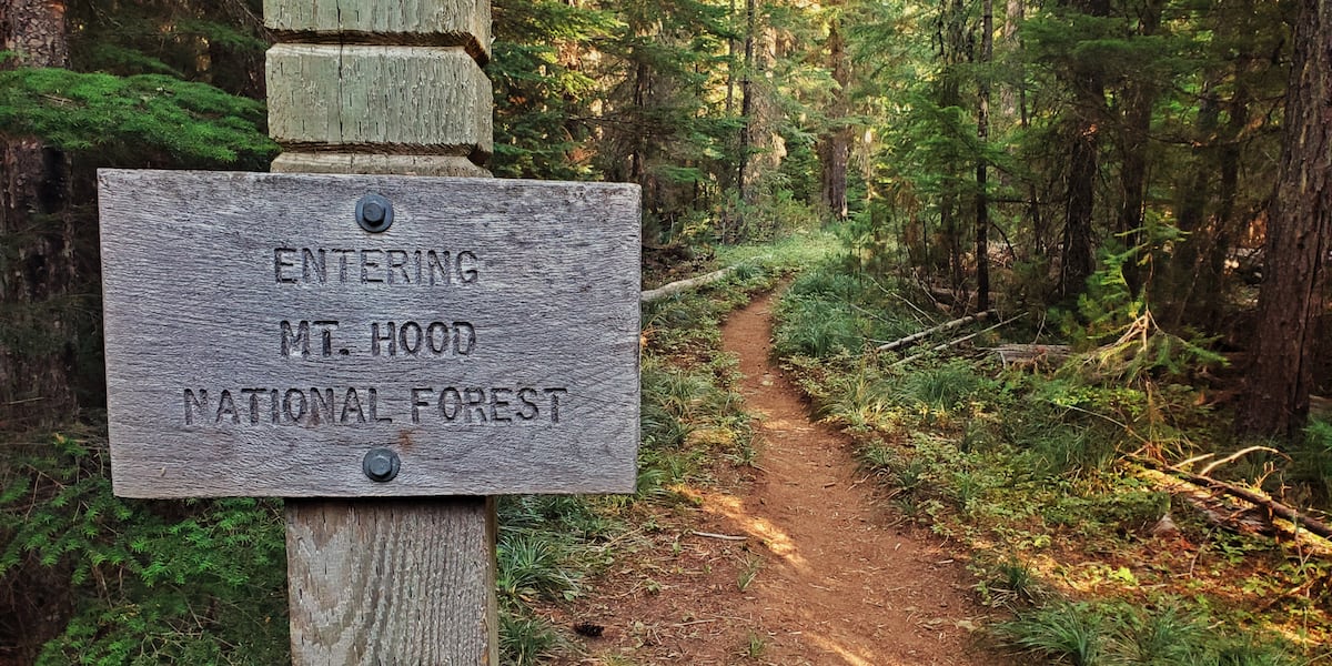 Trump administration moves ahead to end roadless rule on national forests, including Oregon
