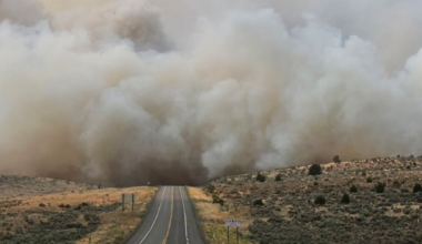 Winds pushed Bug Fire back into California