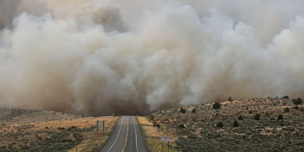 Winds pushed Bug Fire back into California