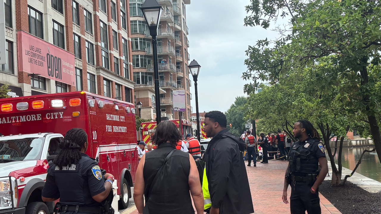 Parkville man charged with murder for shoving man into Inner Harbor
