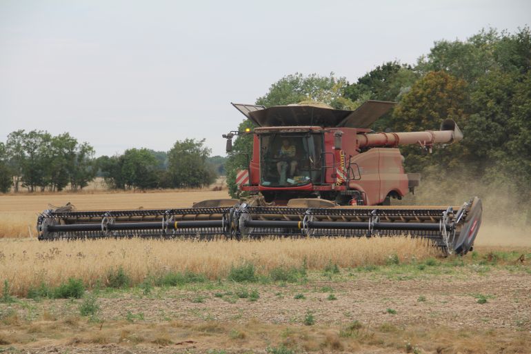 A combine harvests oats on Manor Farm in Caxton near Cambridge, kicking up dust in the dry conditions. Credit: John Kjorstad