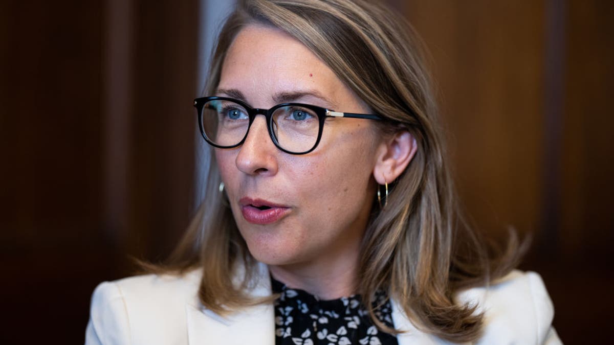 Rep. Hillary Scholten in Congress